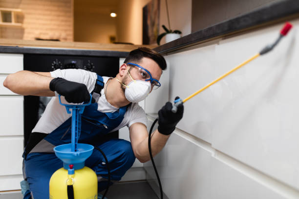 Best Mosquito Control Services  in Citrus Park, AZ