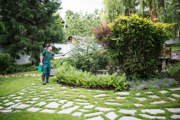 Best Residential Pest Control  in Citrus Park, AZ