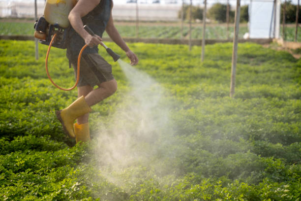 Best Wildlife Control Services  in Citrus Park, AZ