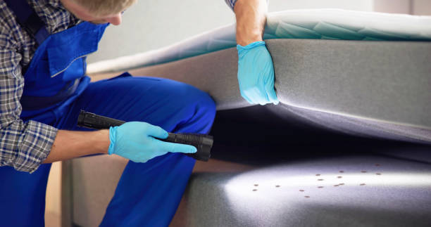 Best Termite Control Services  in Citrus Park, AZ