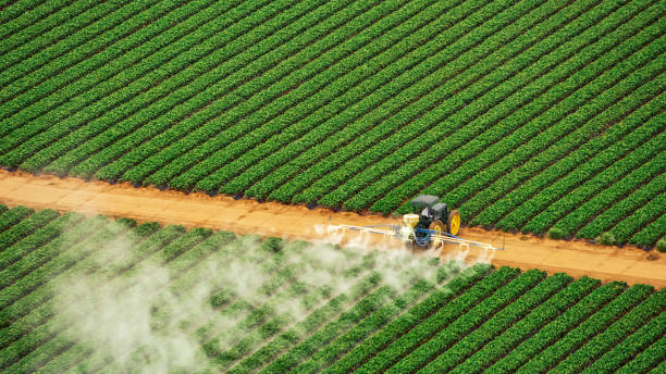 Best Pest Prevention Services  in Citrus Park, AZ