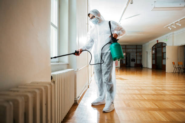 Best Best Pest Control Companies  in Citrus Park, AZ