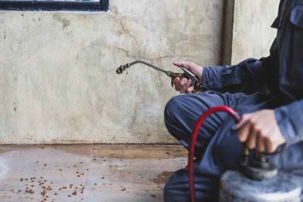 Best Pest Control Near Me  in Citrus Park, AZ
